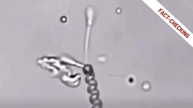 Le presunte nanotecnologie nello sperma e lo studio sull’mRNA a 251 giorni