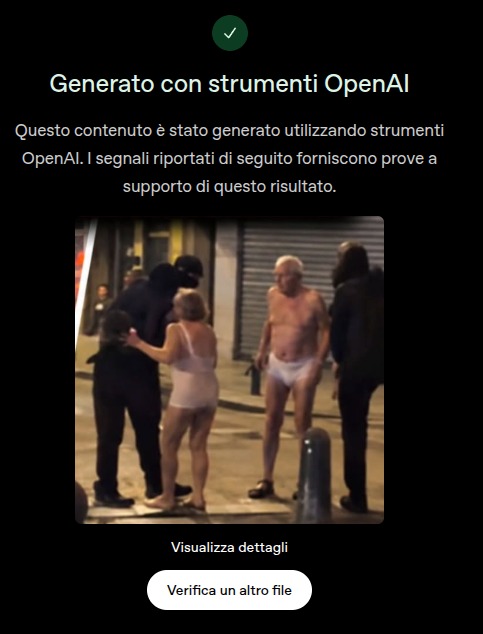 Schermata dello strumento di rilevamento di OpenAI che conferma la presenza del watermark per le immagini generate con l'intelligenza artificiale