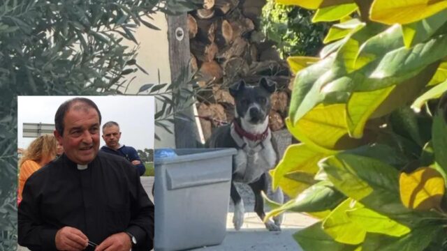 Il don aveva legato il cane con delle catene e minacciato gli ispettori dell'Oipa