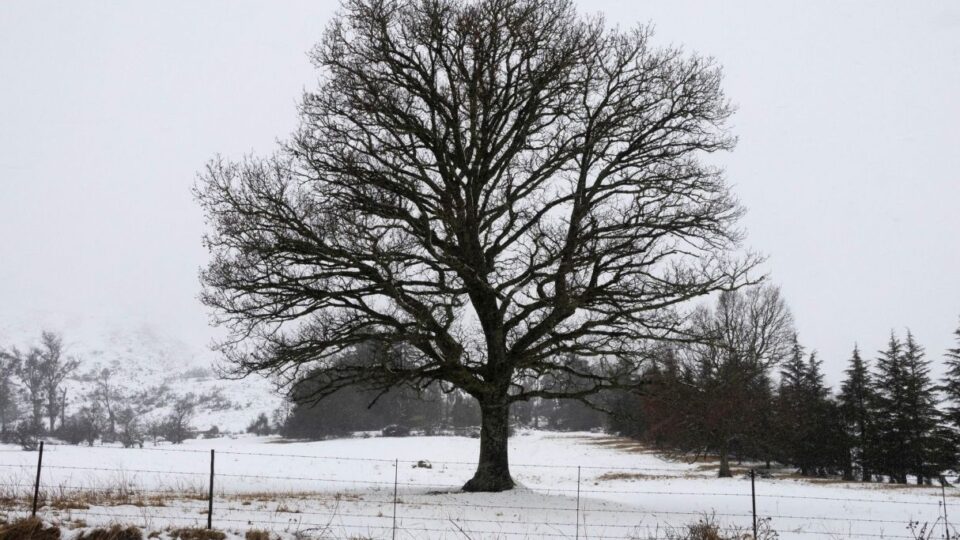 probabile neve nel weekend di Ognissanti