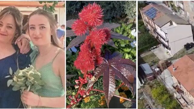 omicidio ricina pietracatella perquisizioni scuole sospettati