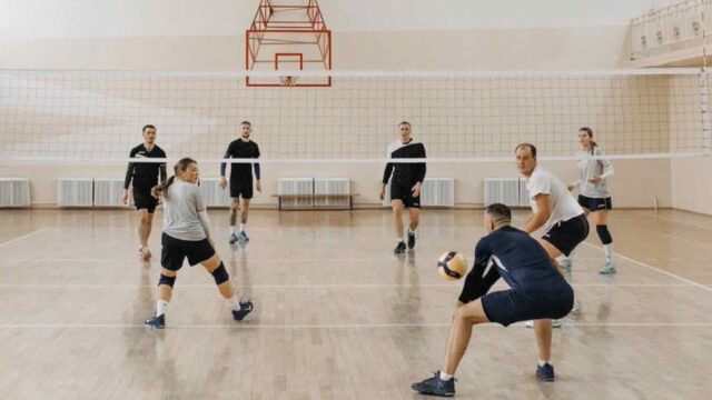 sentenza licenziamento pallavolo